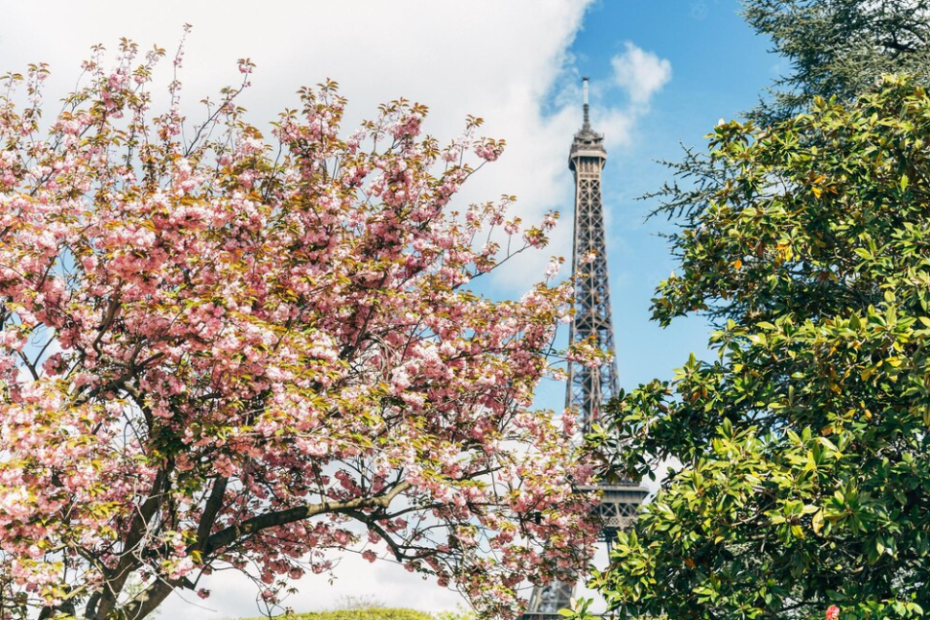 tour eiffel fleurie